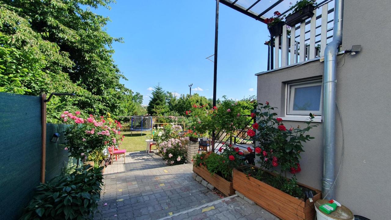 David Home 56 Znojmo Zewnętrze zdjęcie