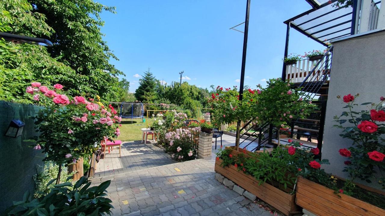 David Home 56 Znojmo Zewnętrze zdjęcie