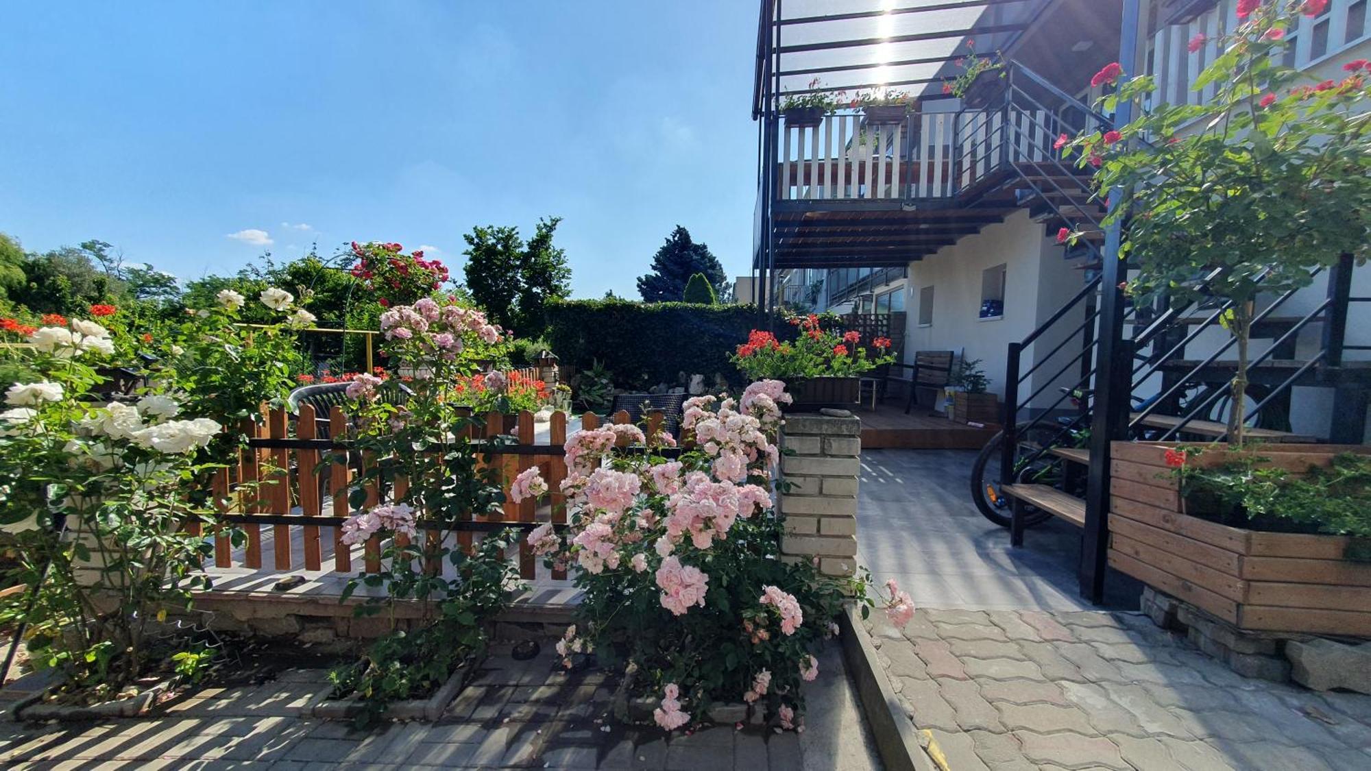 David Home 56 Znojmo Zewnętrze zdjęcie